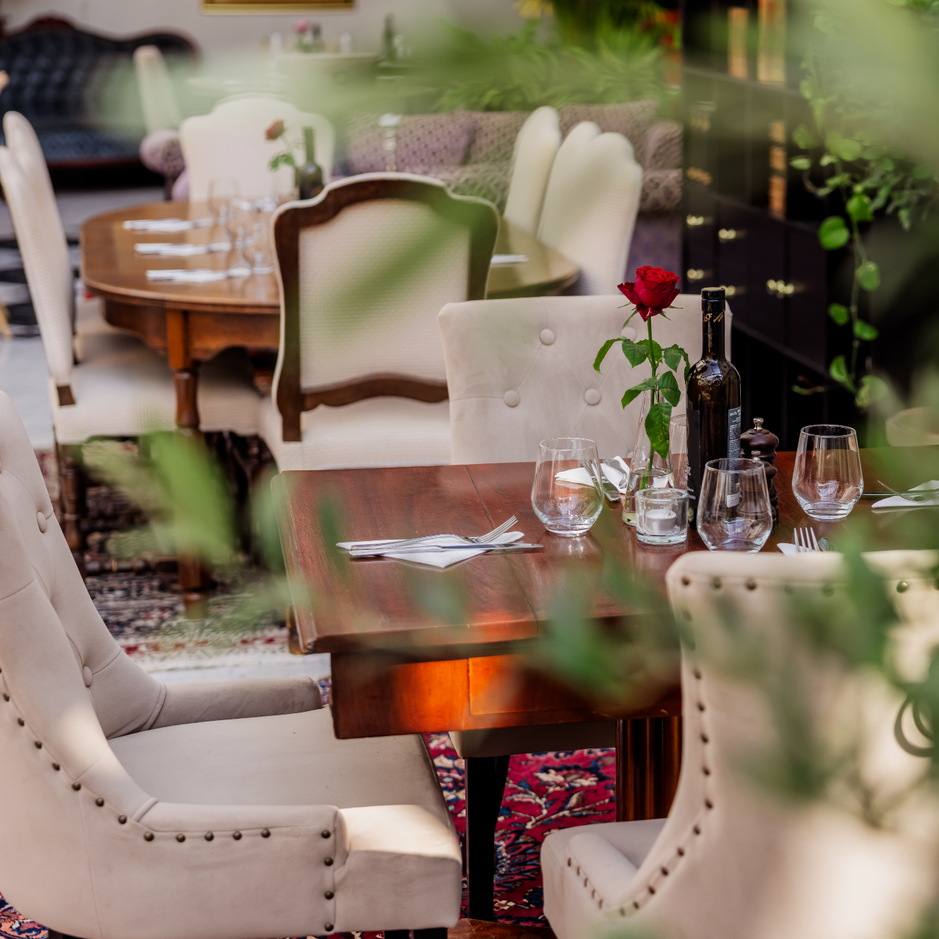 LaChoupette-118 S